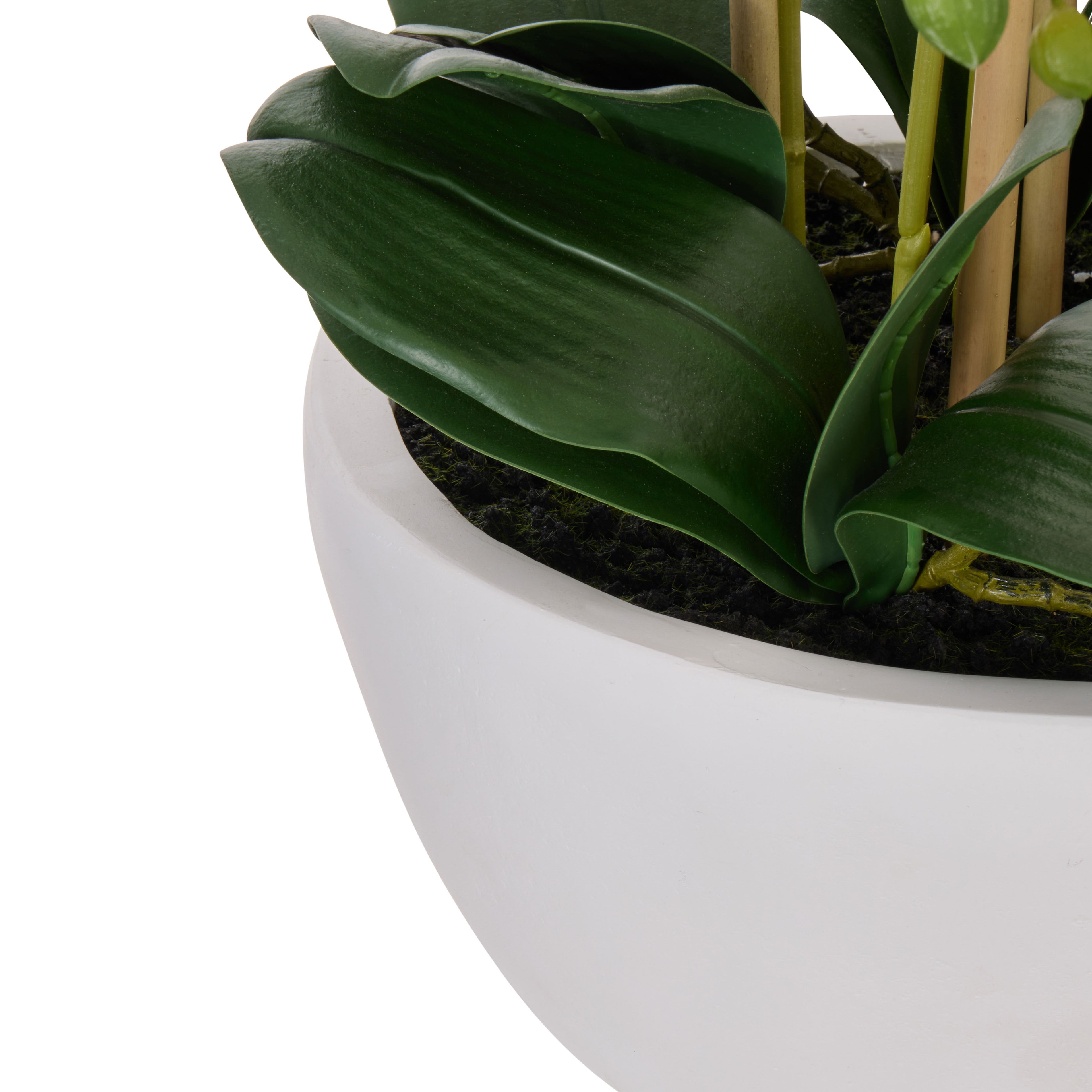Faux Phalaenopsis Orchid Pot | White -  71cm