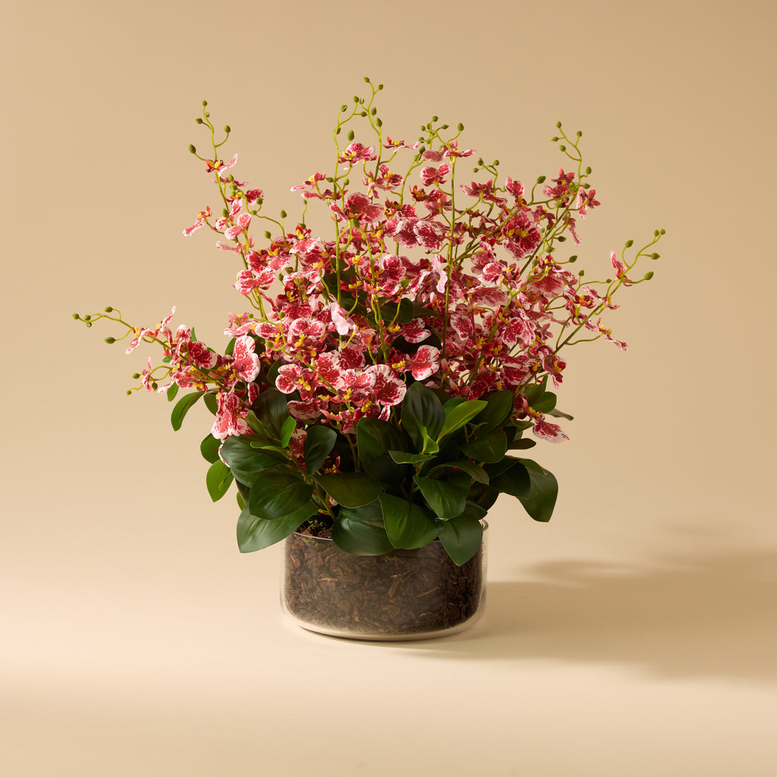 Faux Dancing Orchids - Madelyn Bowl | Burgundy - 58cm