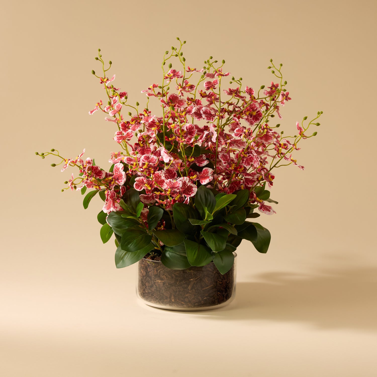 Faux Dancing Orchids - Madelyn Bowl | Burgundy - 58cm