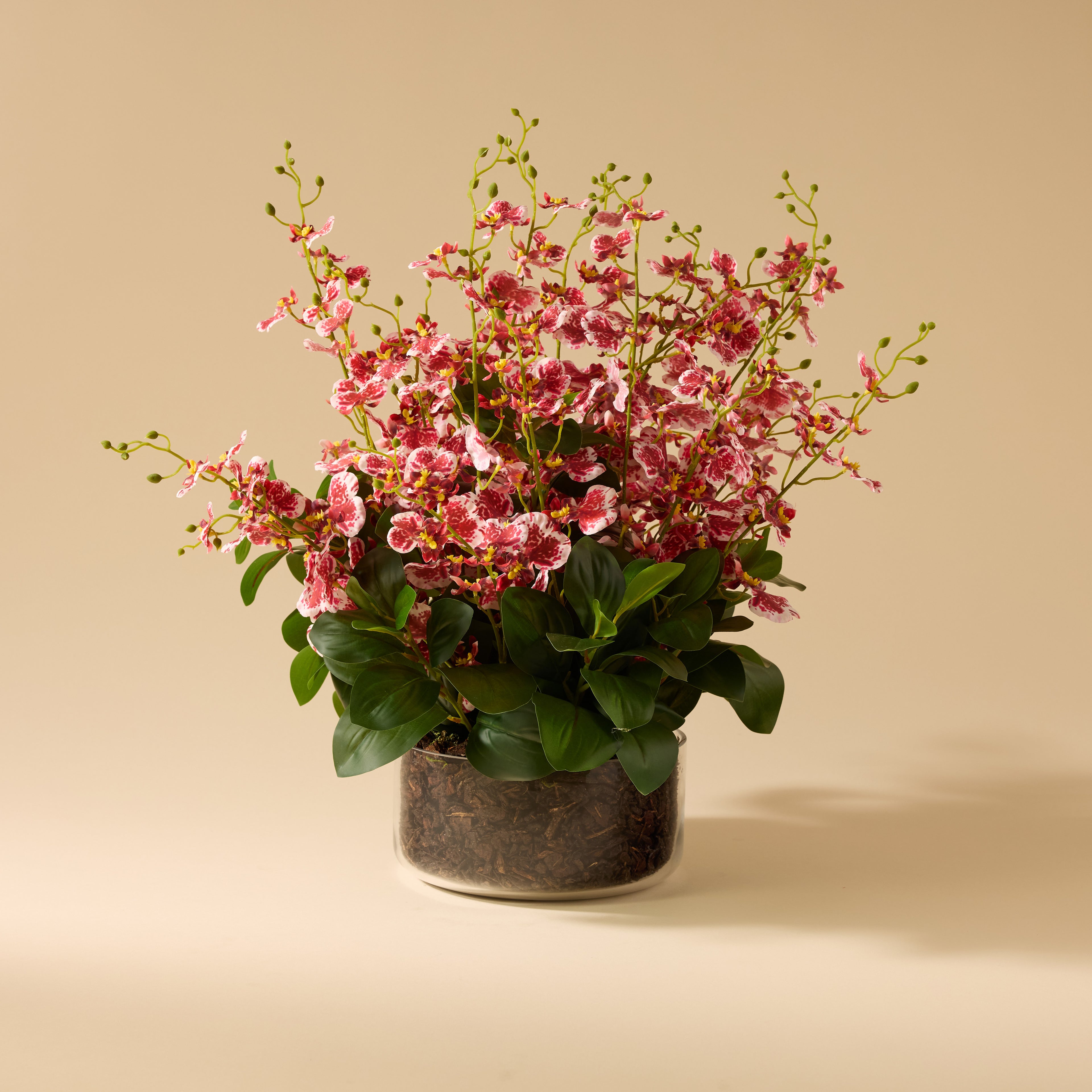 Faux Dancing Orchids - Madelyn Bowl | Burgundy - 58cm