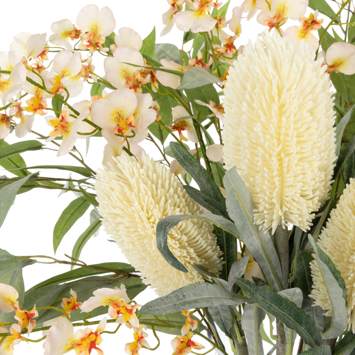 Rogue Dancing Orchid Twistie Branch Mix - Cindy Vase Cream