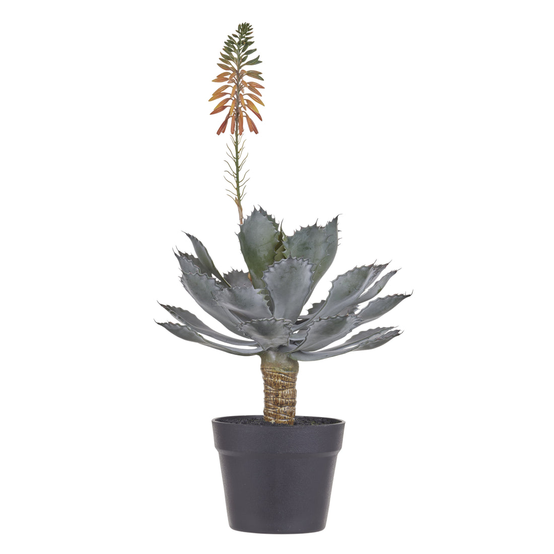 Faux Flowering Echeveria - Garden Pot | 62cm