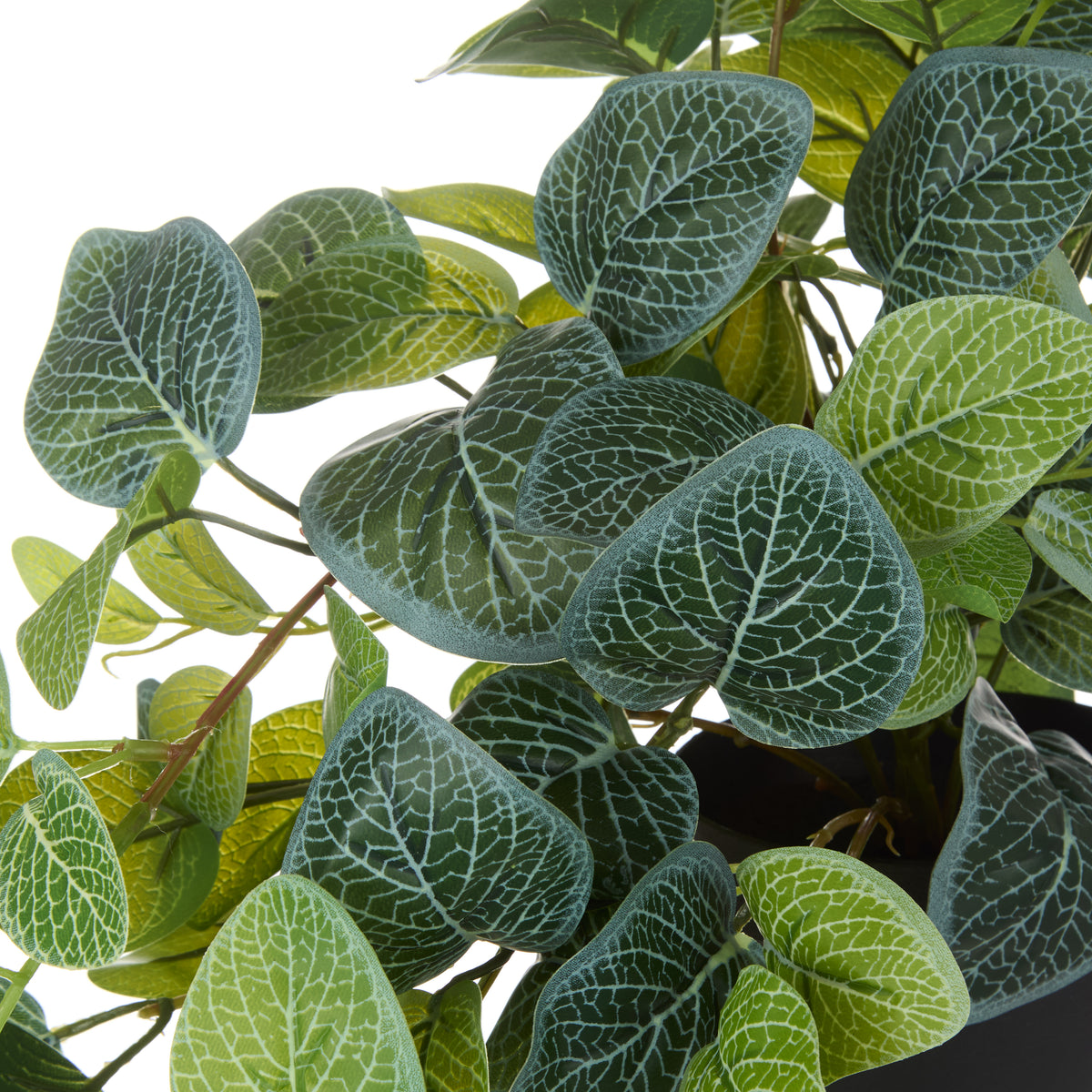 Faux Hanging Fittonia - Garden Pot | 82cm