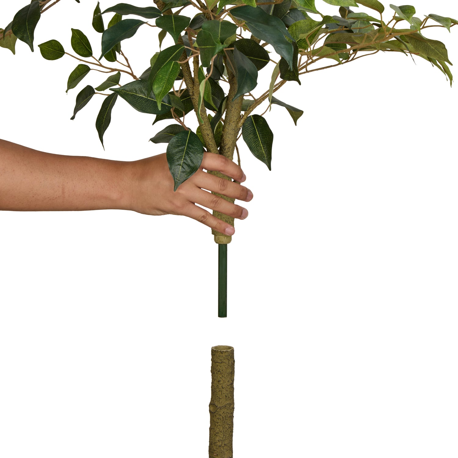 Faux Ficus Tree - White Pot | Green -  150cm