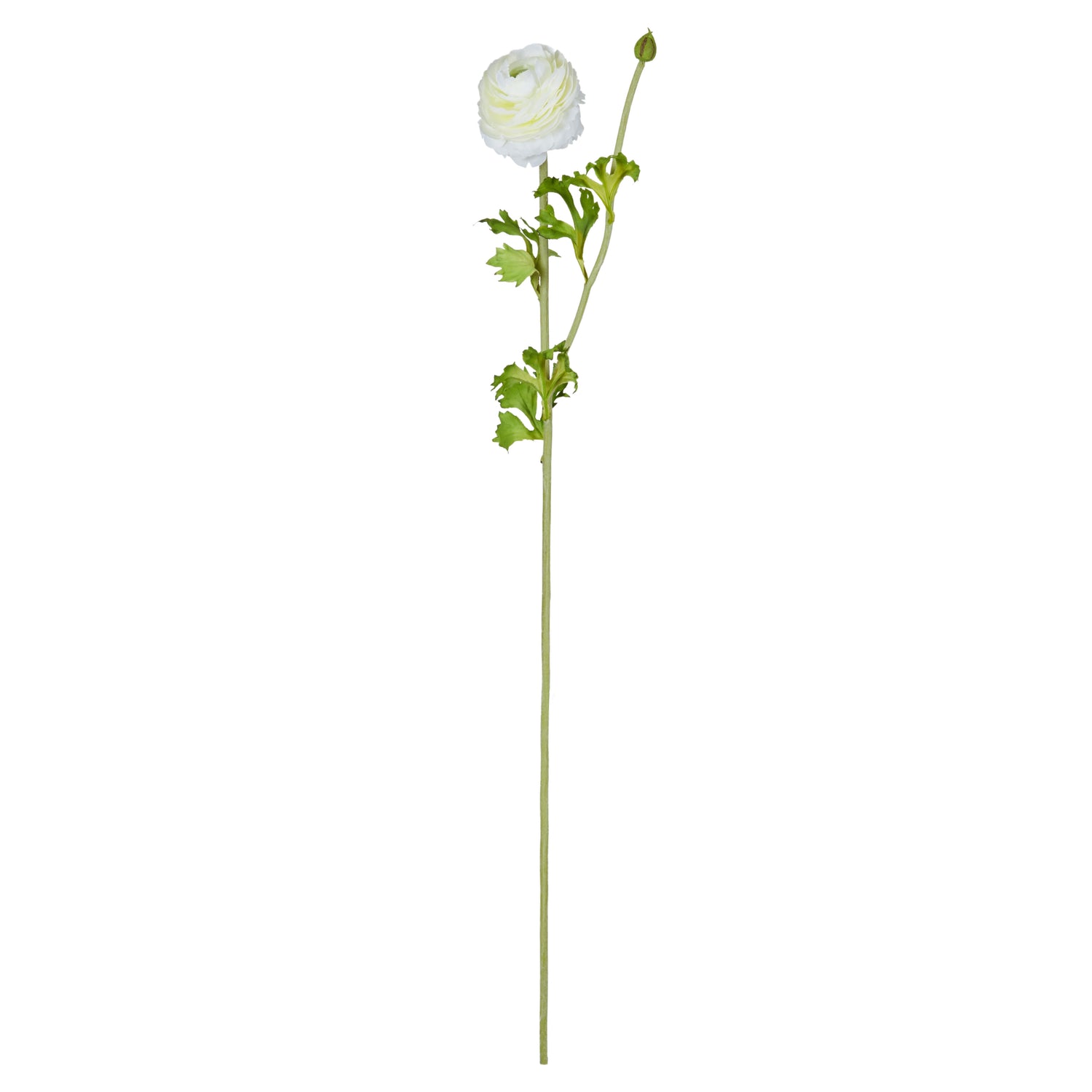 Faux Ranunculus Spray - White | 74cm