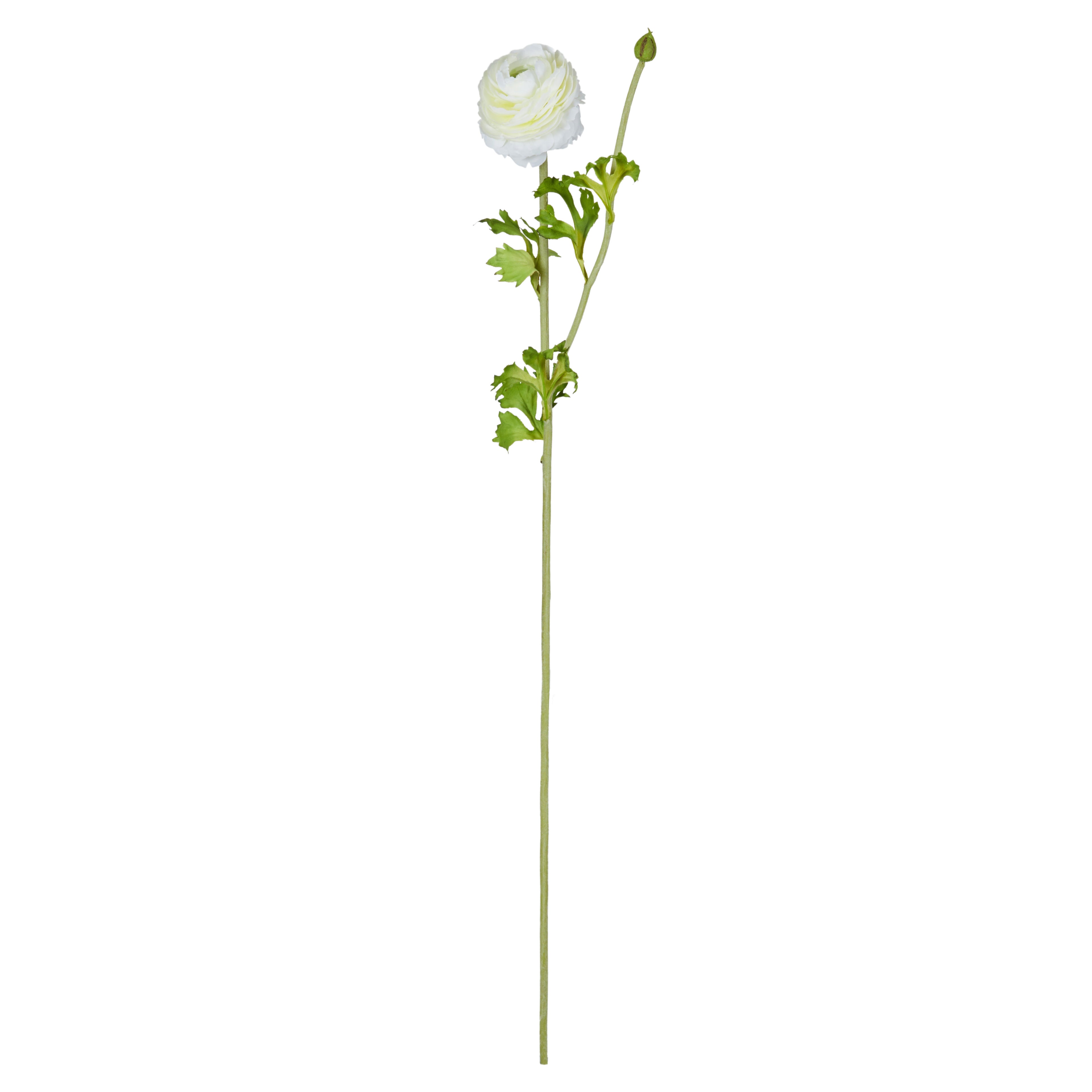 Faux Ranunculus Spray - White | 74cm
