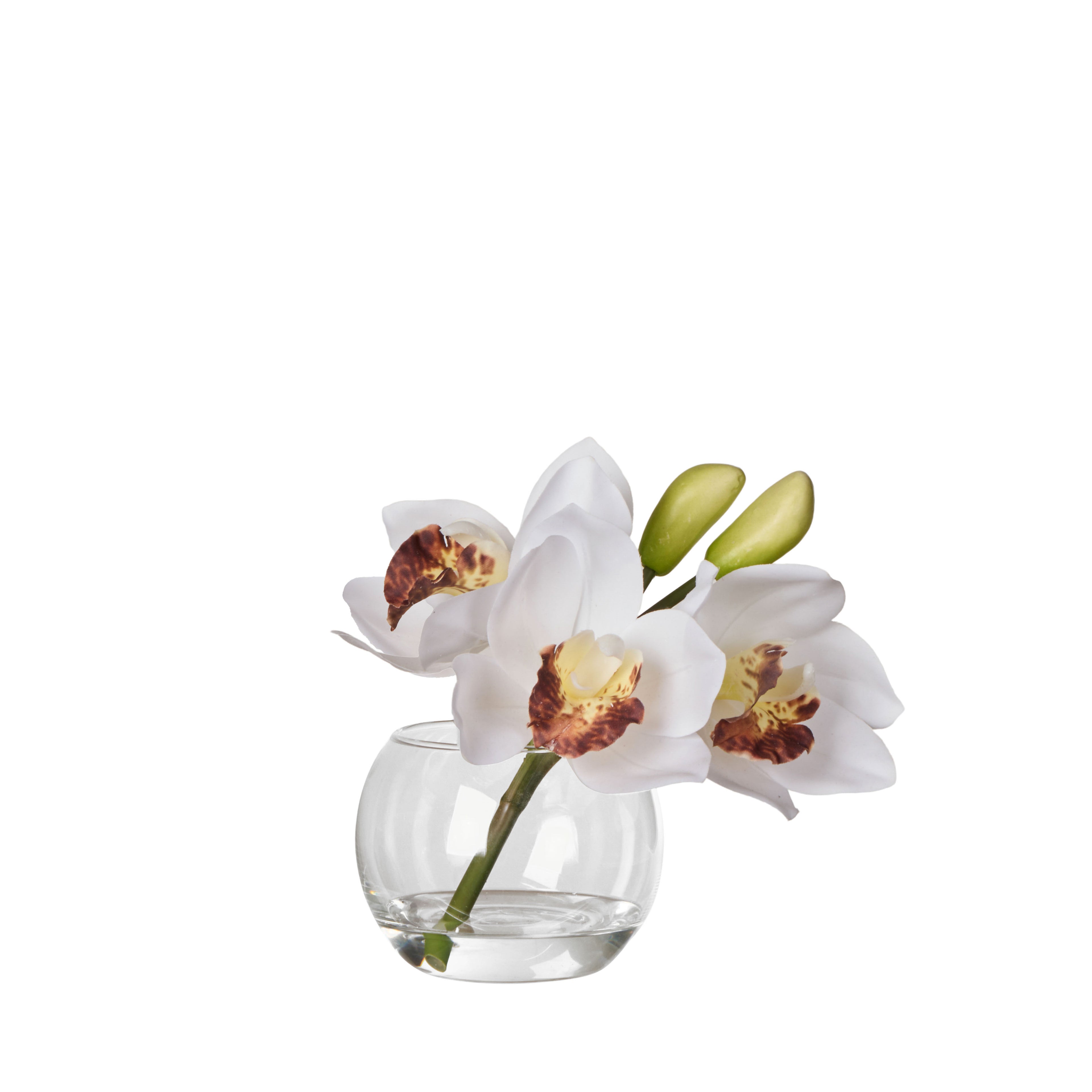 Faux Cymbidium - Glass Vase | White -  16cm