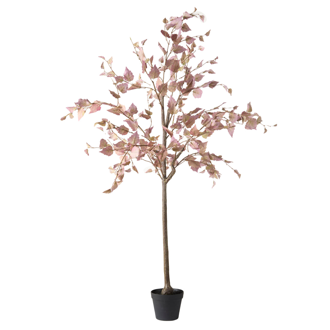 Rogue Birch Tree Pink
