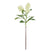 Faux Skimmia Spray| Cream - 60cm