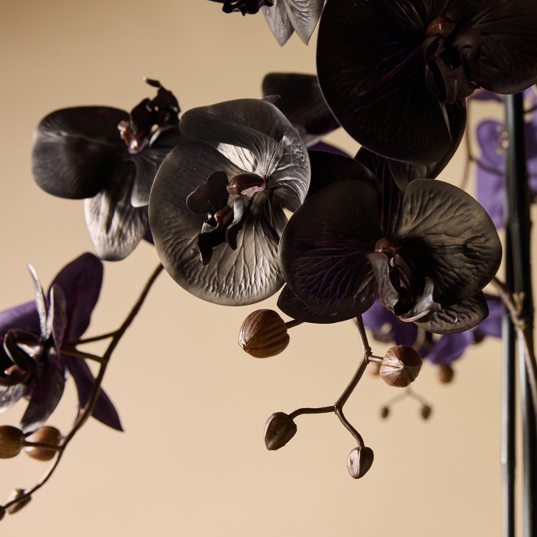 Faux Phalaenopsis Orchid - Vienna Tall Planter | Black - 157cm