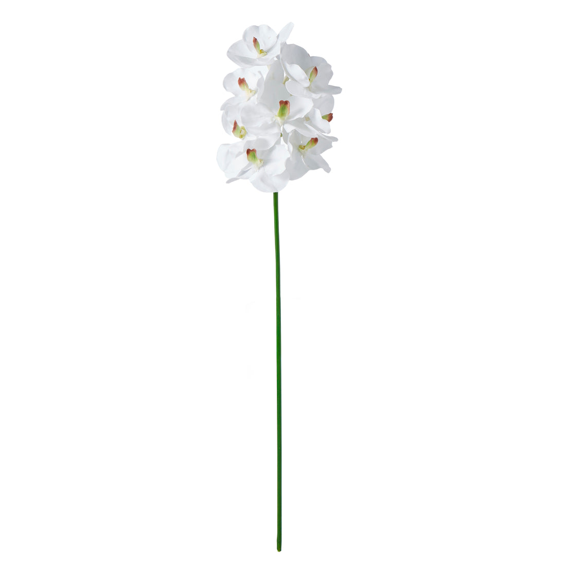 Faux Vanda Orchid | White - 66cm