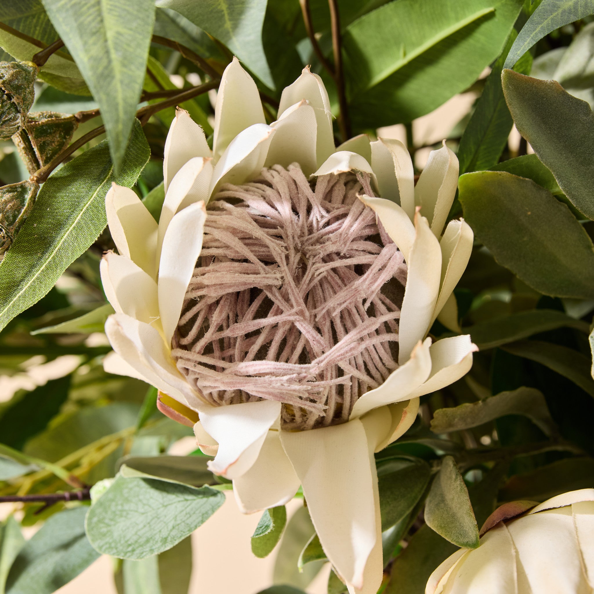 Faux Australis Protea Eucalyptus Mix - Maliah Pot | 79cm