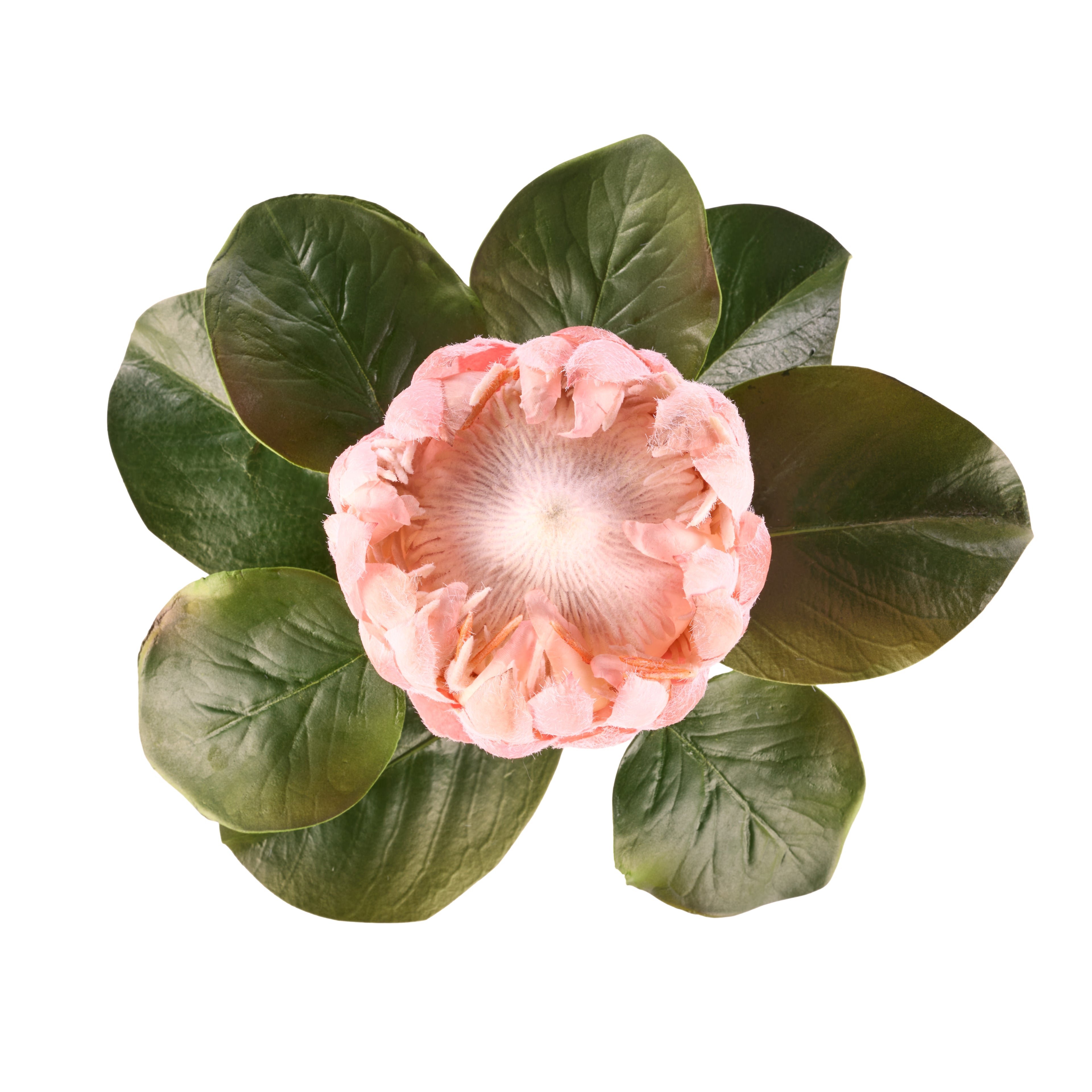 Faux Grand Protea Stem | Pink -  63cm
