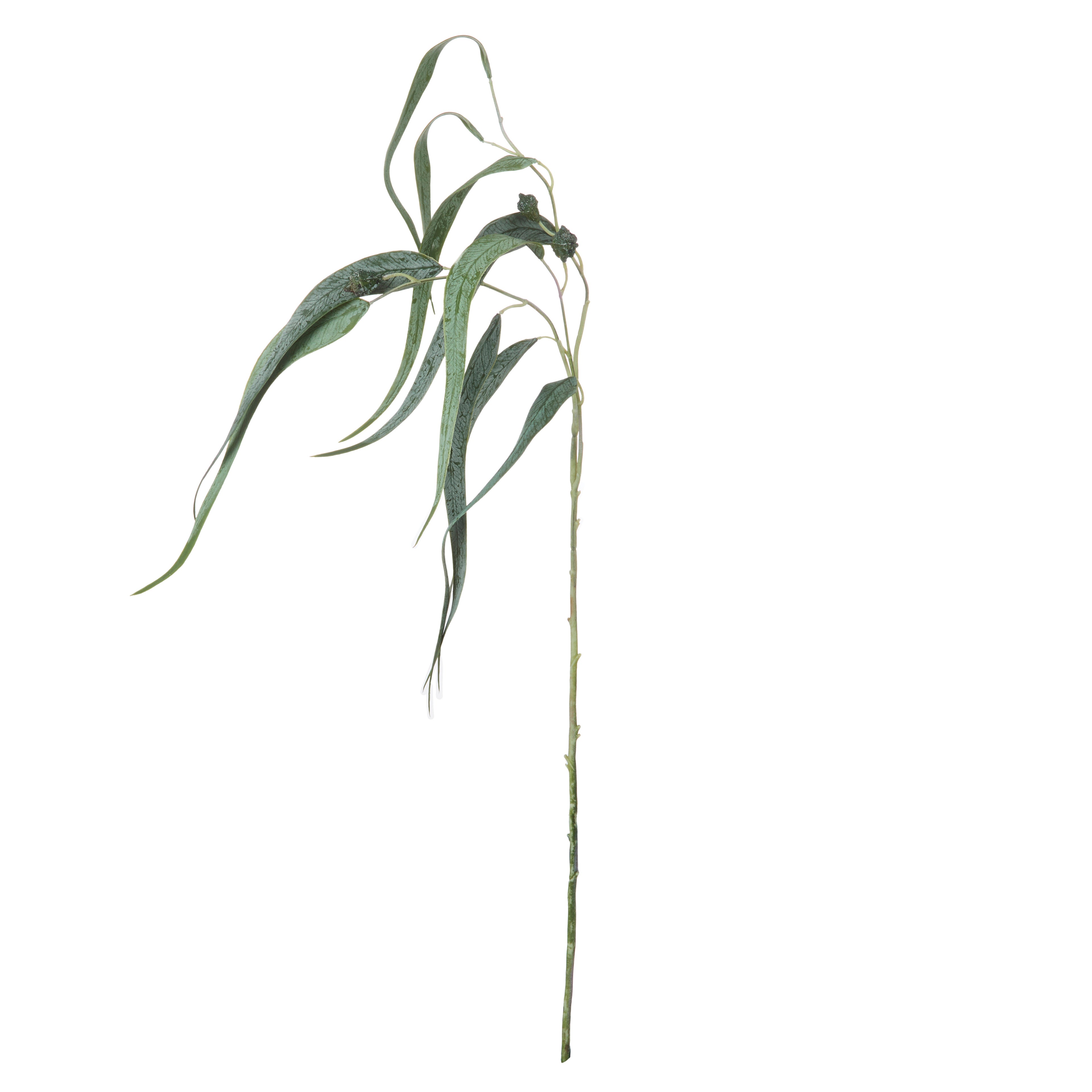 Faux Eucalyptus Gum Nut Spray | 87cm