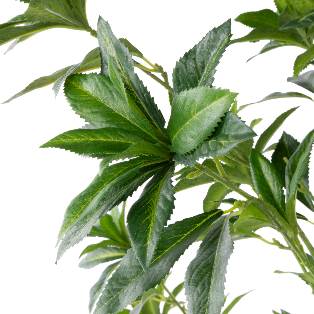 Rogue Japonica Tree UV - Garden Pot Green