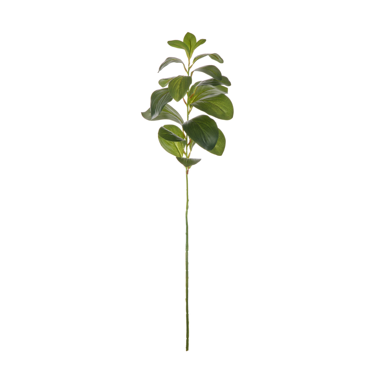 Rogue Lush Leaf Single Stem Green