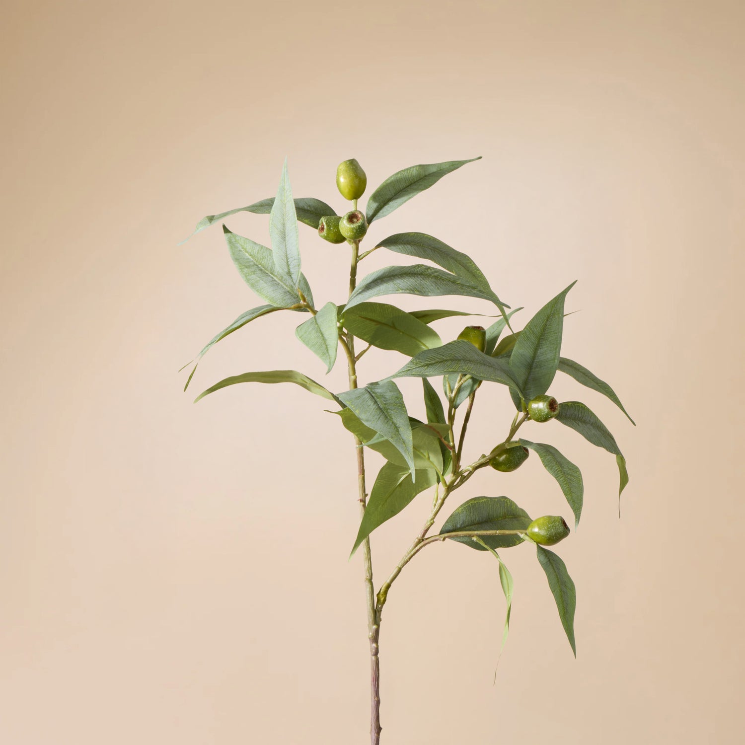 Faux Eucalyptus Gumnut Spray | 79cm
