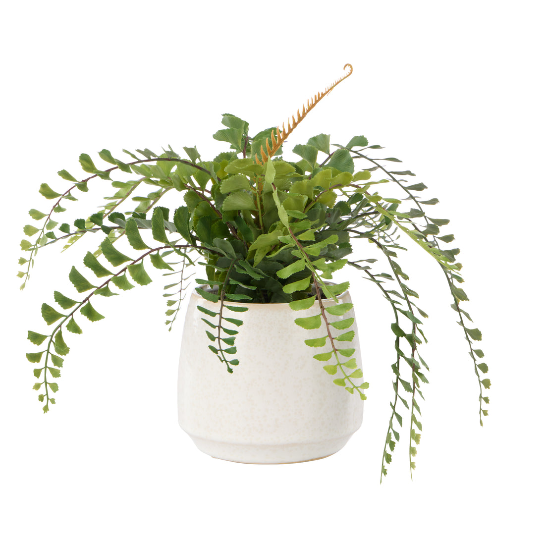 Faux Jewel Fern - Gianna Pot | White - 24cm