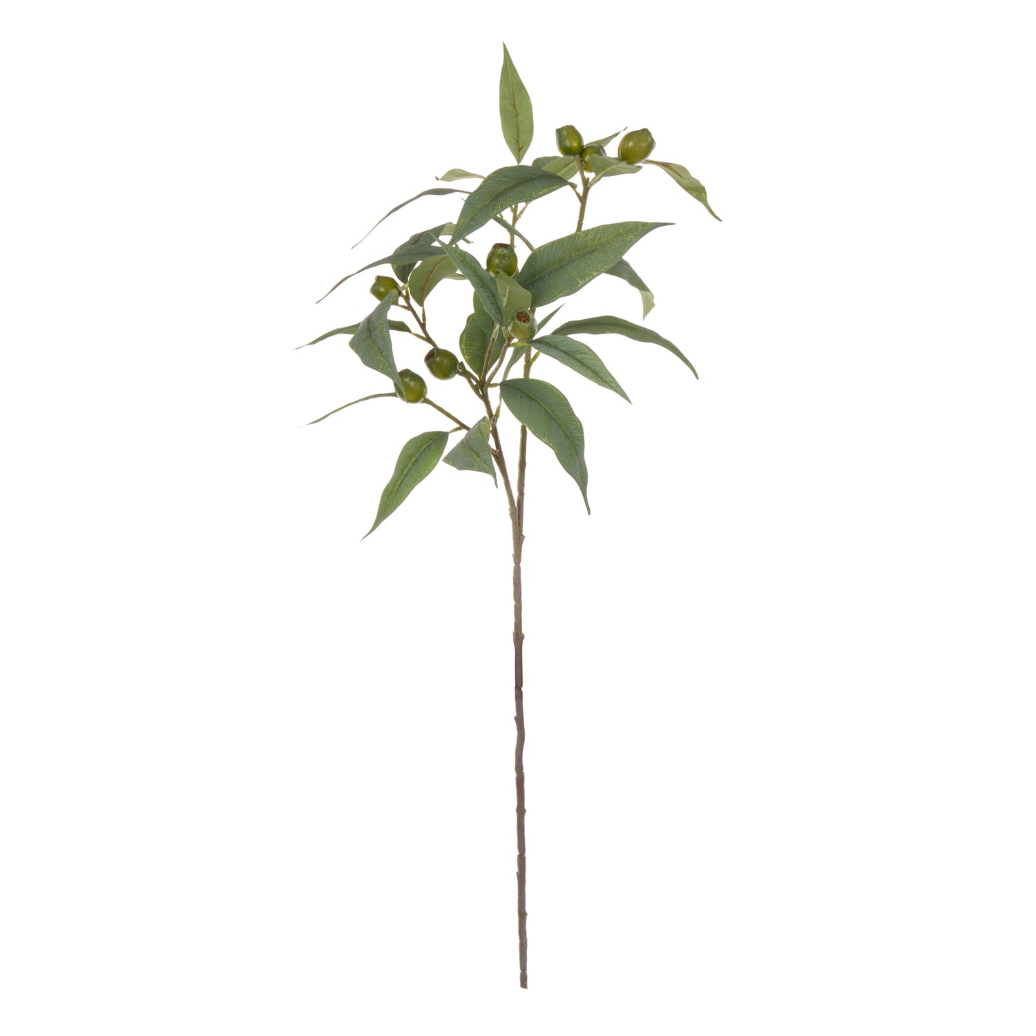 Faux Eucalyptus Gumnut Spray | 79cm
