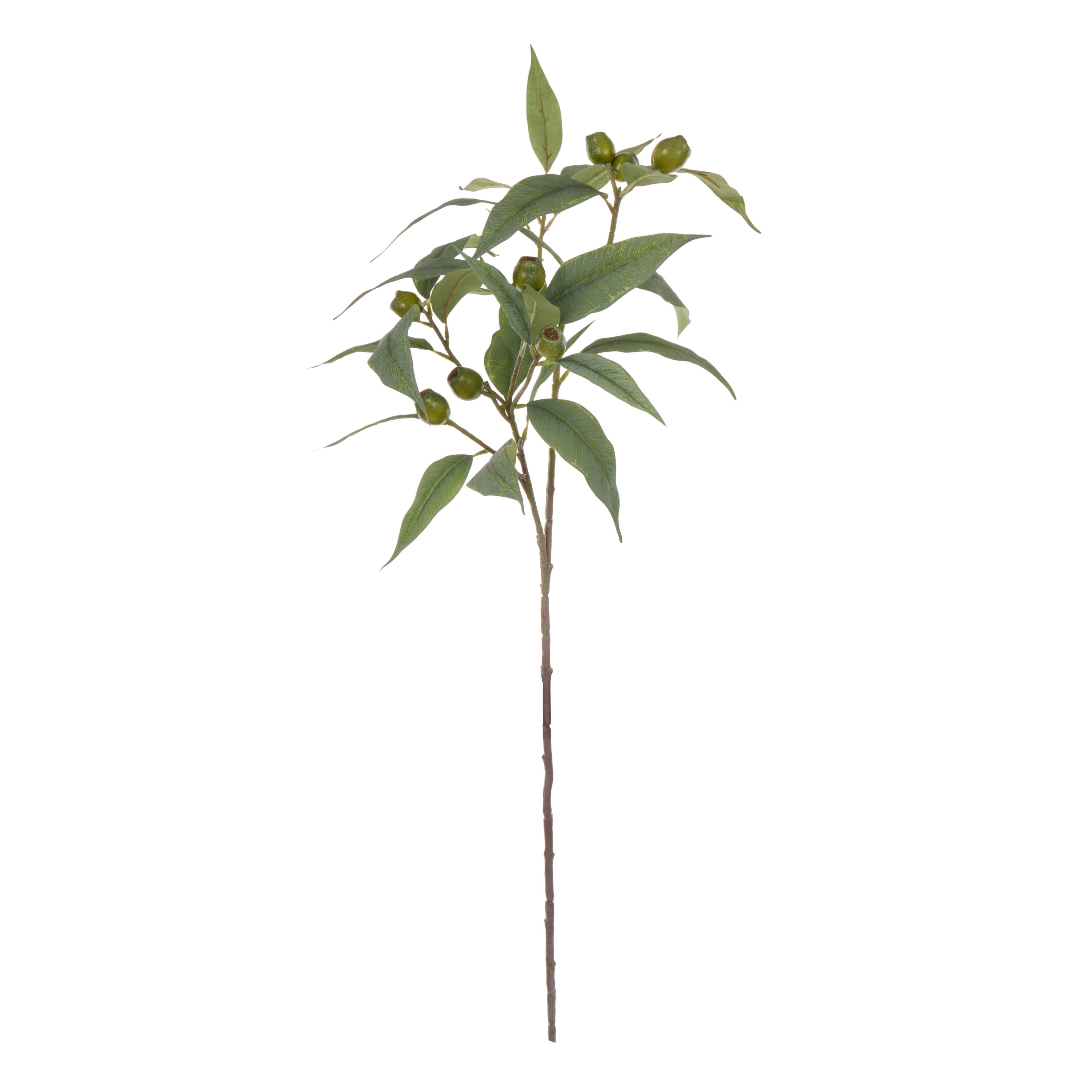 Faux Eucalyptus Gumnut Spray | 79cm