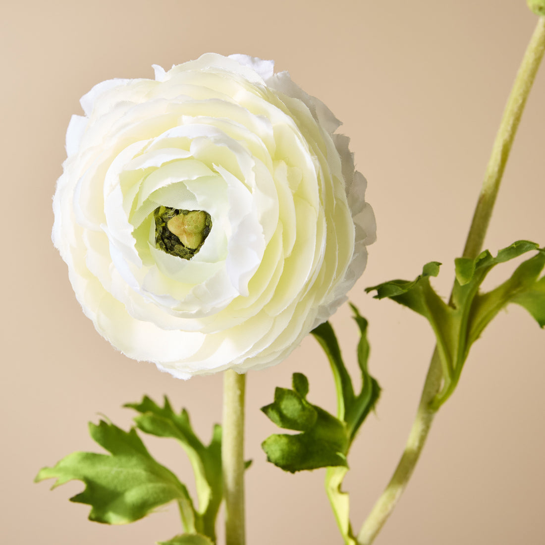 Faux Ranunculus Spray - White | 74cm