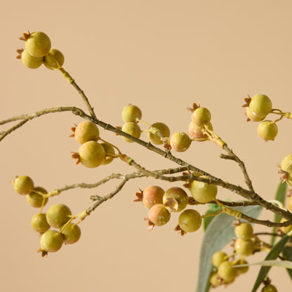 Faux Banksia Eucalyptus Arrangement - Rachel Vase | Cream - 85cm