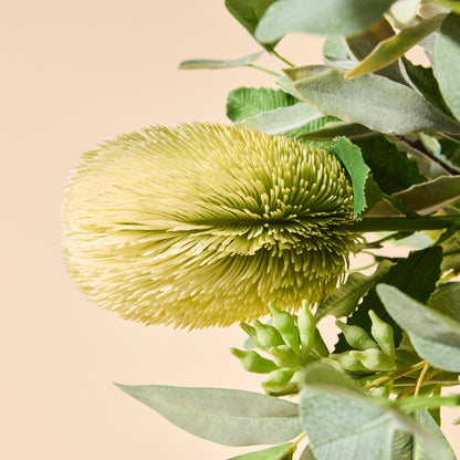 Faux Australis Protea Eucalyptus Mix - Maliah Pot | 79cm