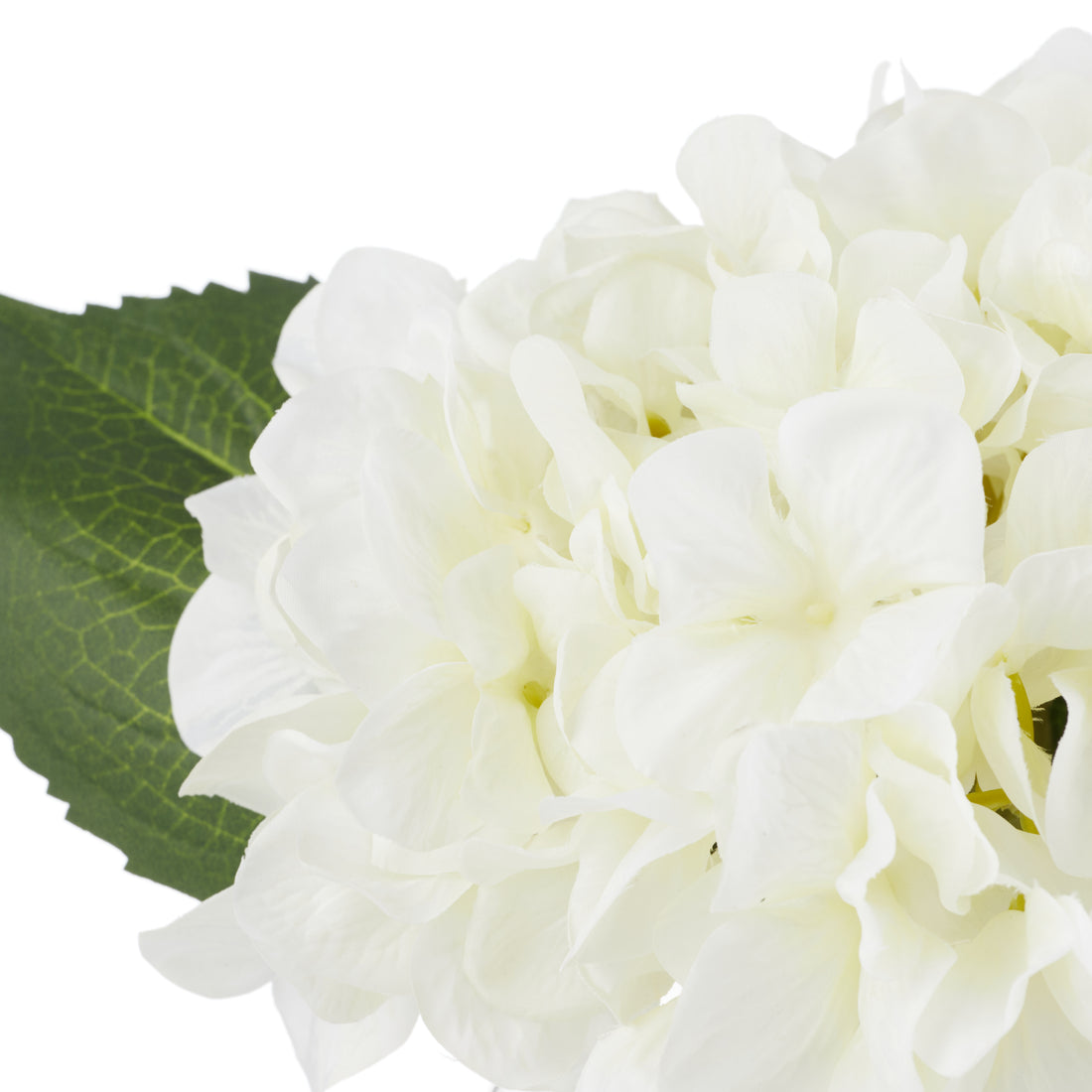 Rogue Hydrangea - Sphere Vase White