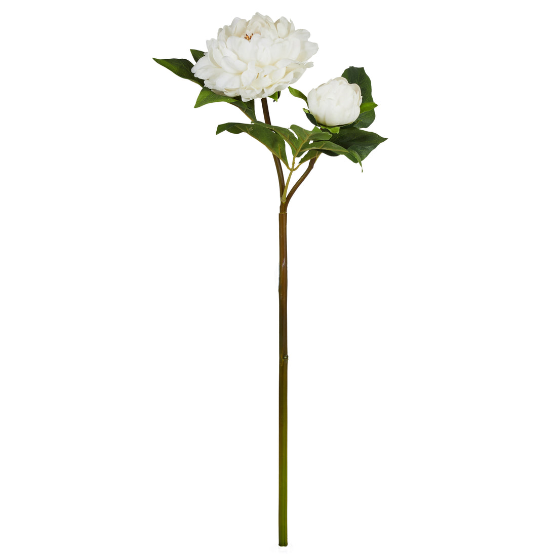 Faux Peony Bud Stem | Cream - 56cm
