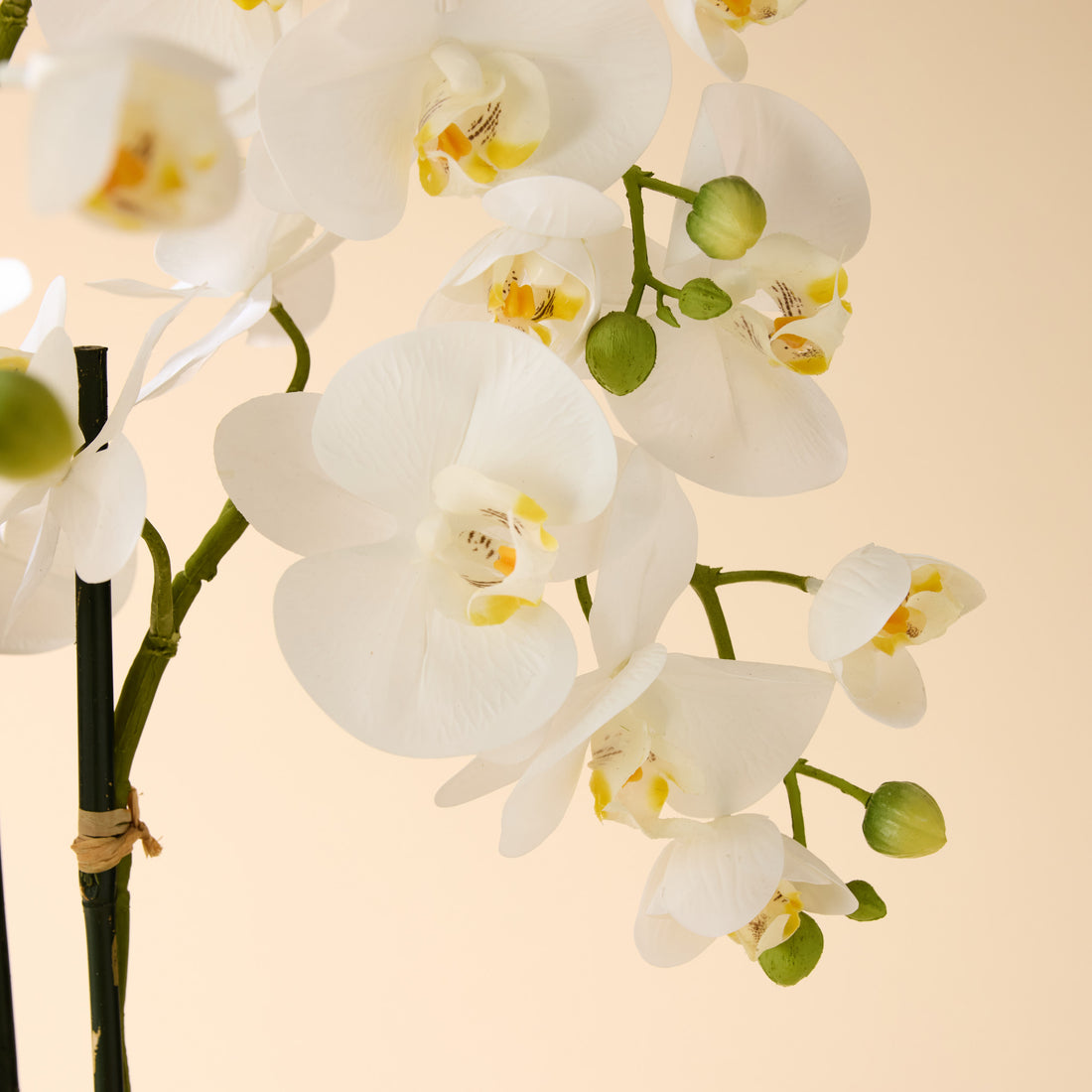 Faux Phalaenopsis Orchid - Black Pot | White - 85cm