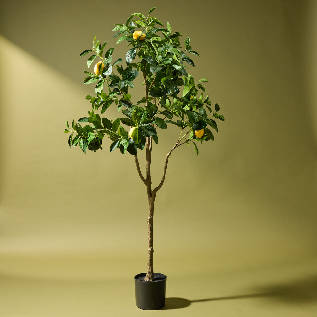 Faux Lemon Tree | 180cm