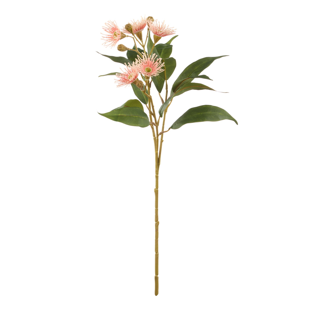 Rogue Eucalyptus Flower Spray Pink
