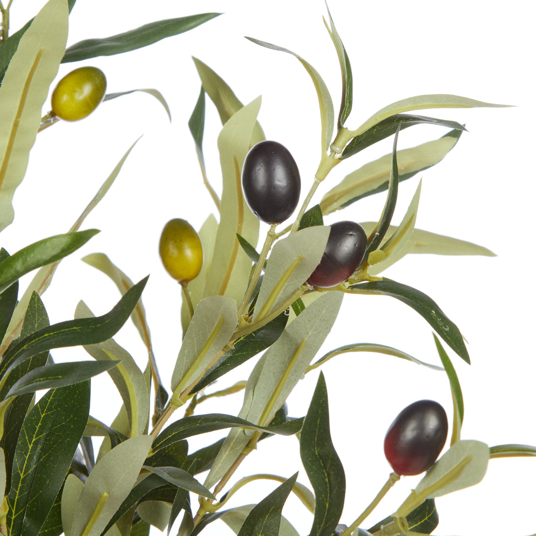 Faux Olive Spray – Specimen Bottle | 45cm