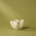 Fluid Vase | Cream - 16cm