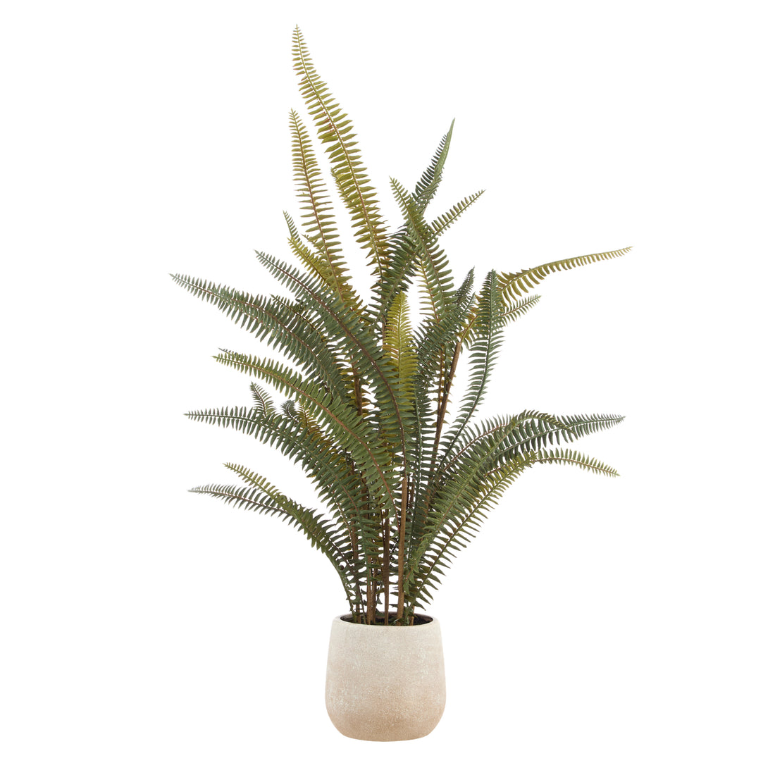 Faux Boston Fern - White Pot | 71cm
