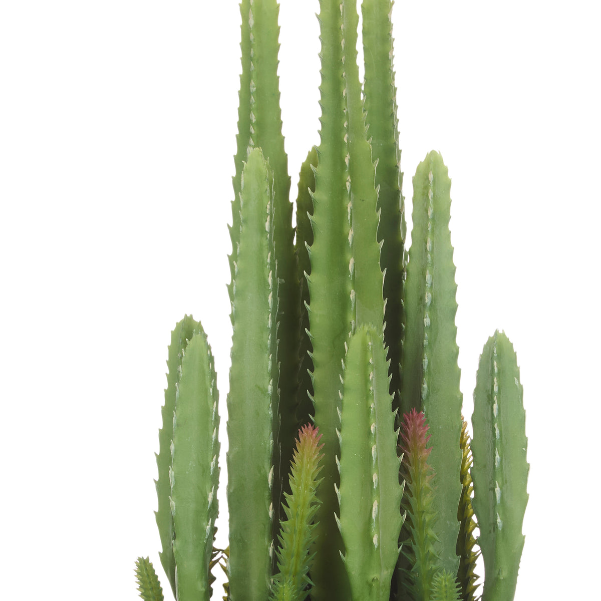 Rogue Fairy Castle Cactus Green