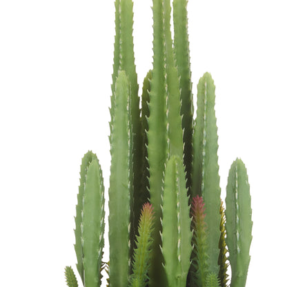Rogue Fairy Castle Cactus Green