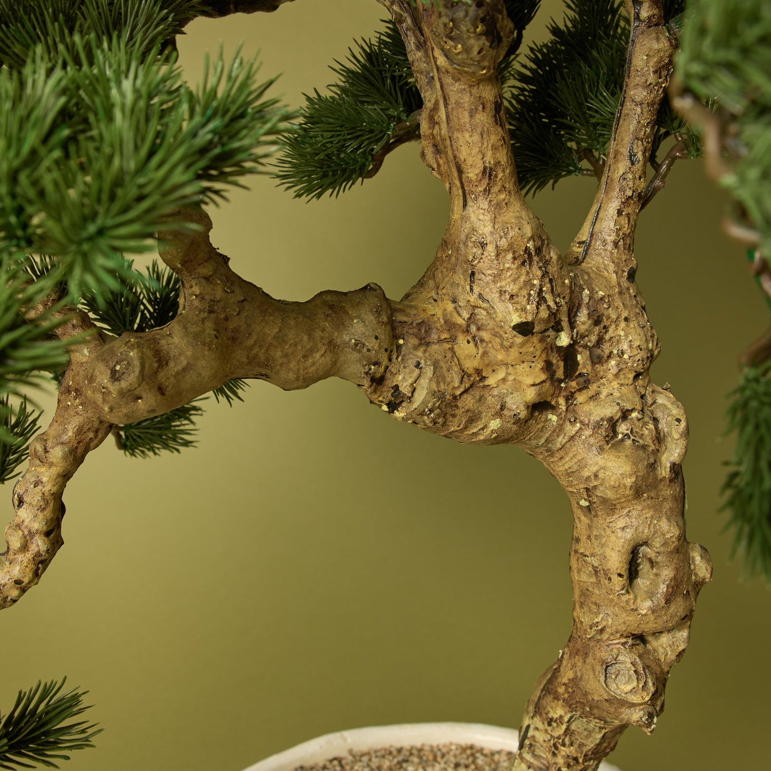 Faux Pine Bonsai - Textured Cement Pot | Cream - 96cm