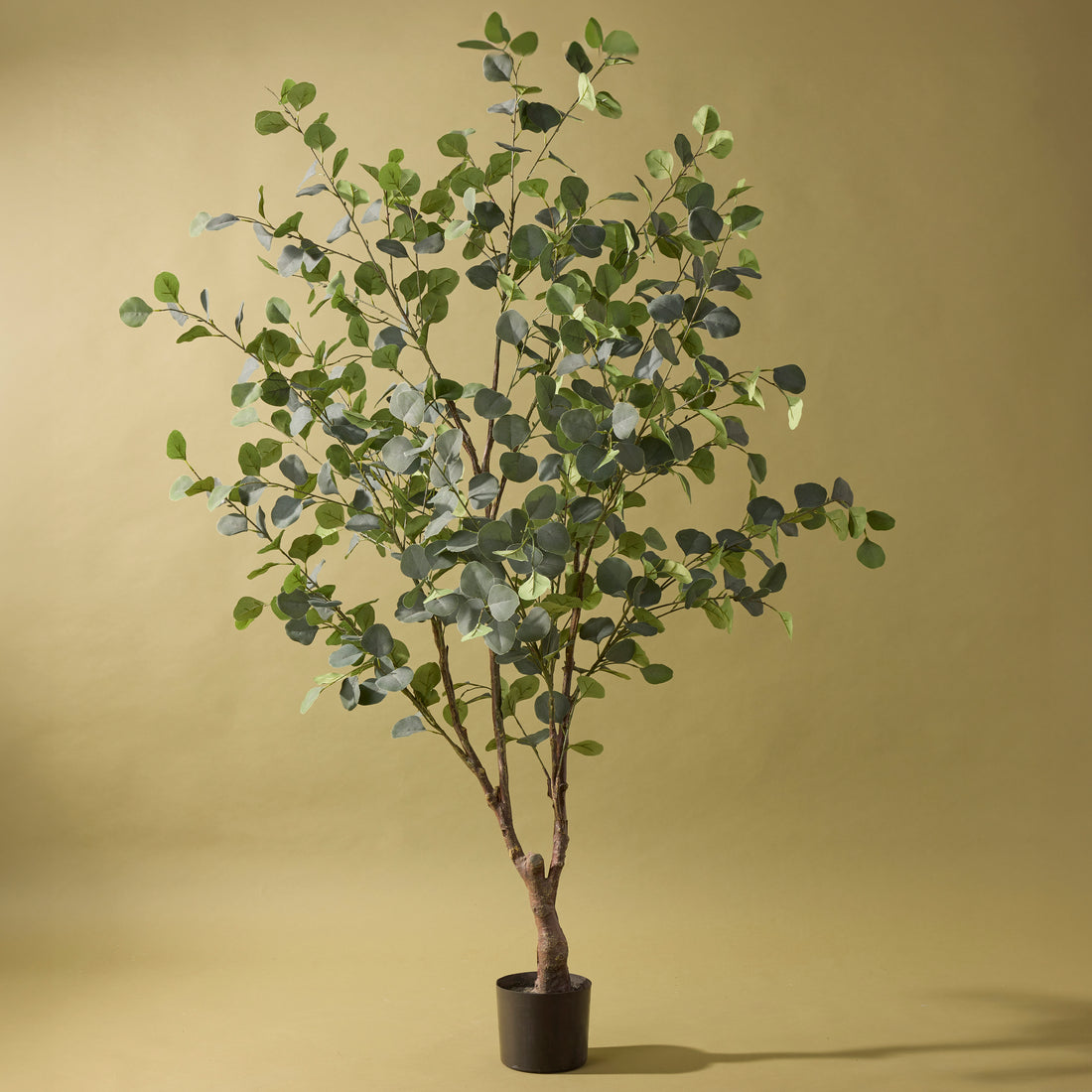 Faux Eucalyptus Tree | 180cm