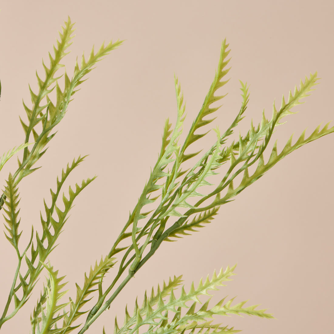 Faux Grevillea Leaf Spray | Green - 100cm