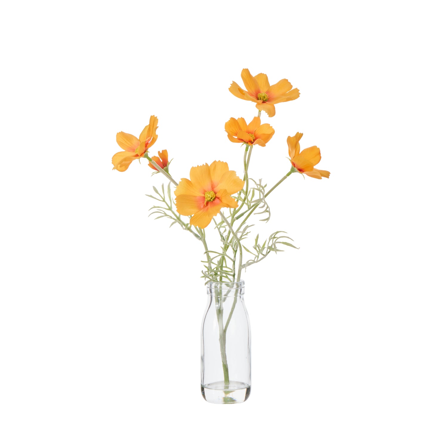 Faux Cosmos - Milk Bottle | Orange-  35cm