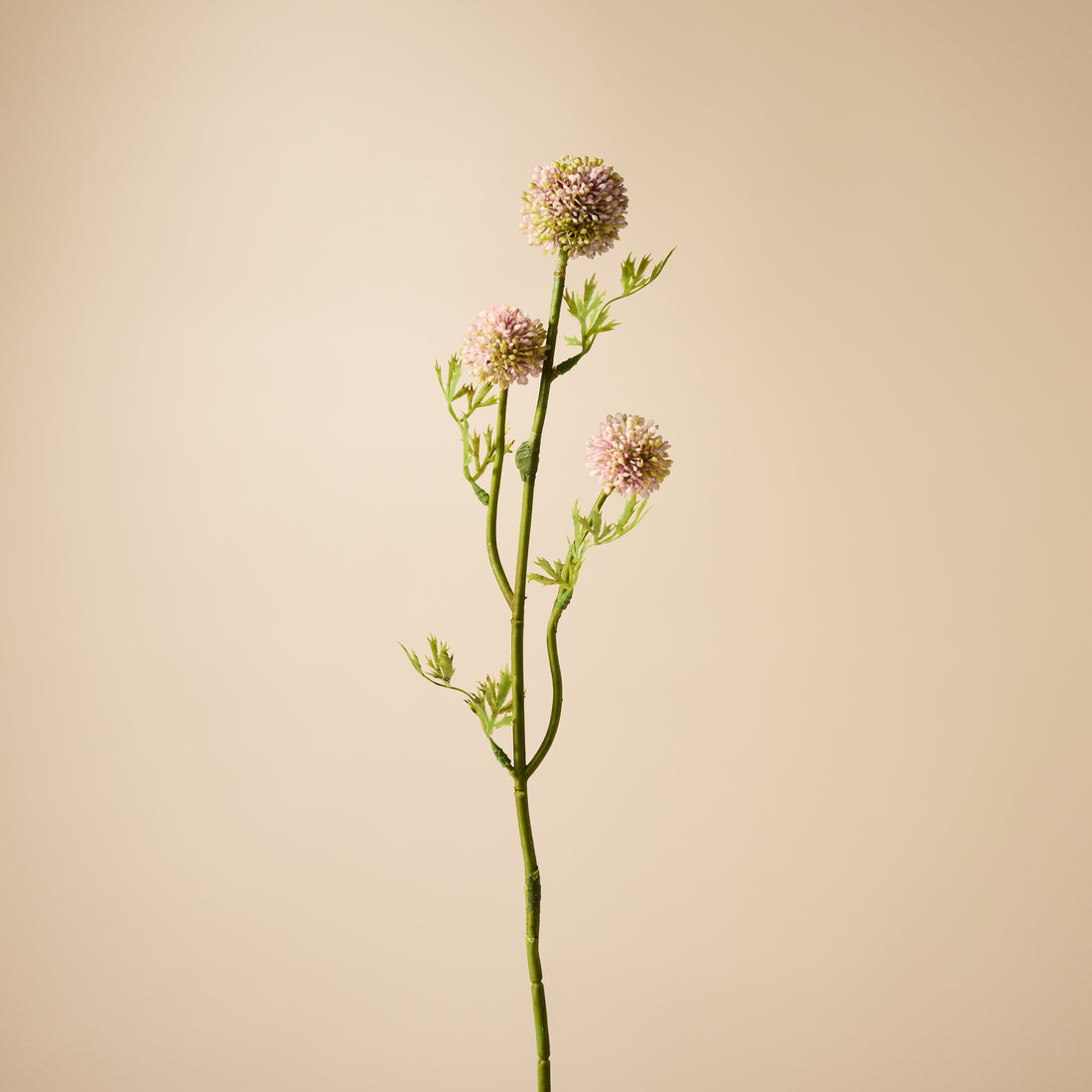 Faux Mini Allium Stem | Pink - 64cm