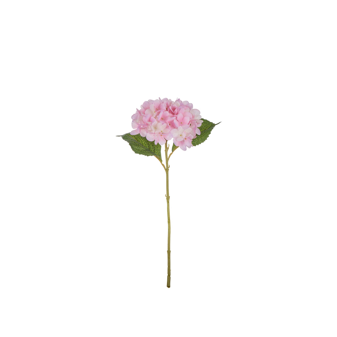 Rogue Hydrangea Stem Pink