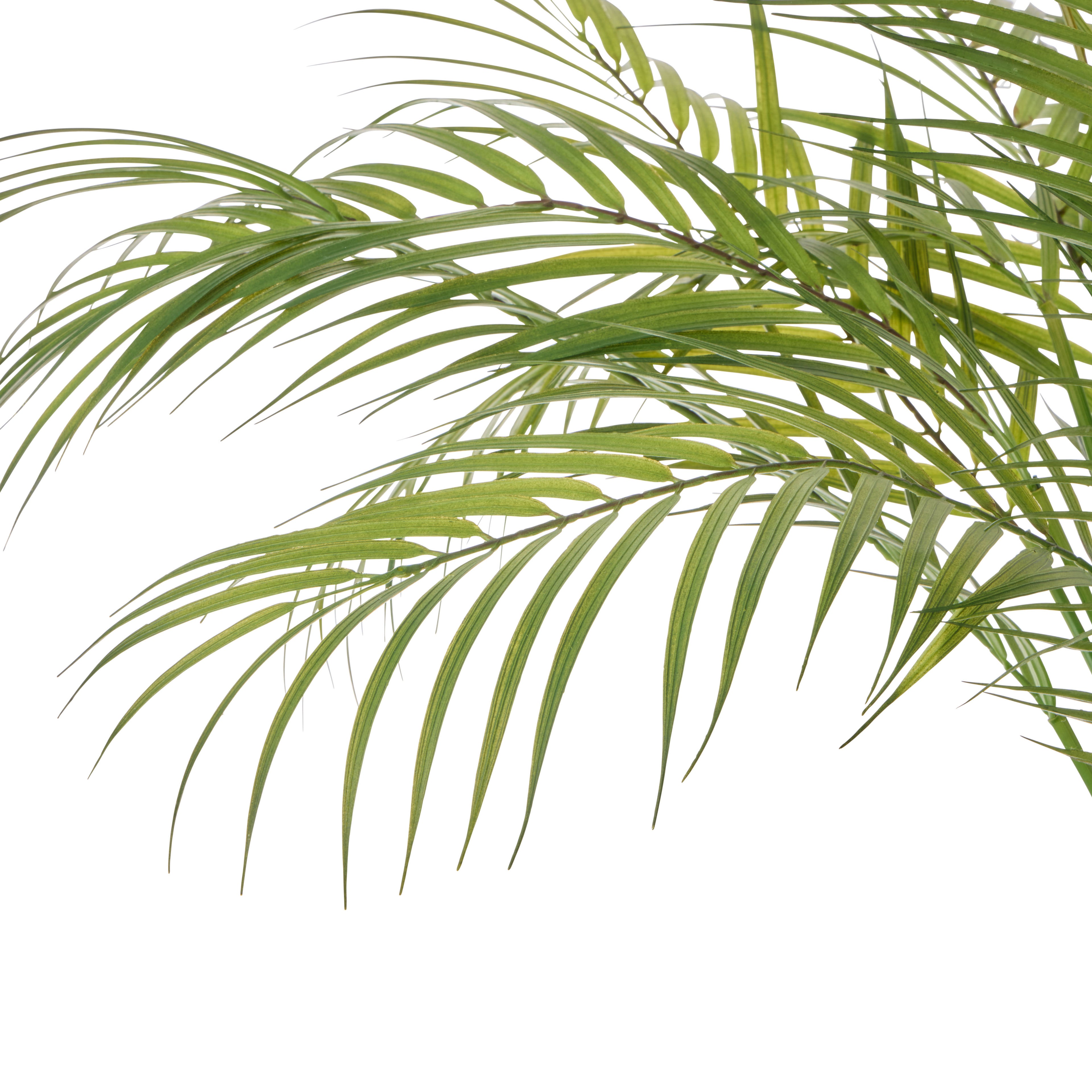 Faux Palm Tree  - Antibes Pot | Green -  84cm