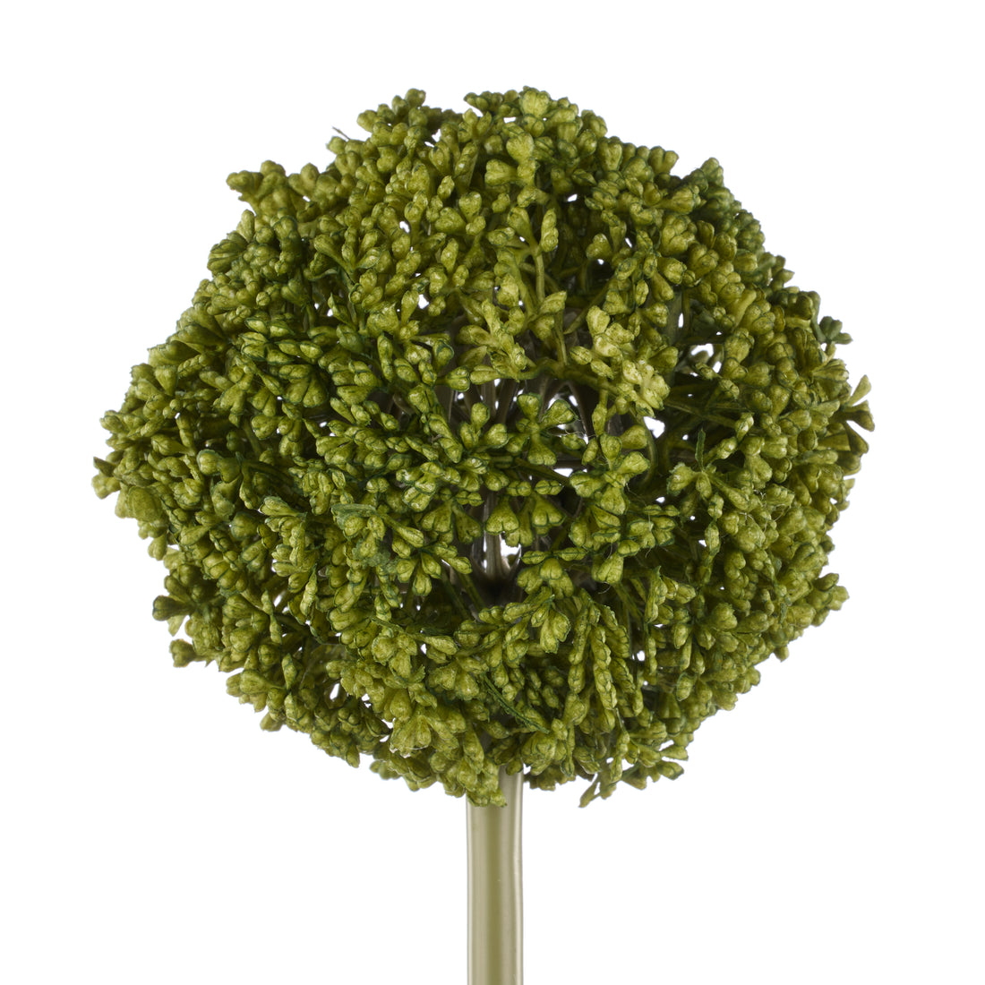 Faux Allium Stem | Green -  76cm