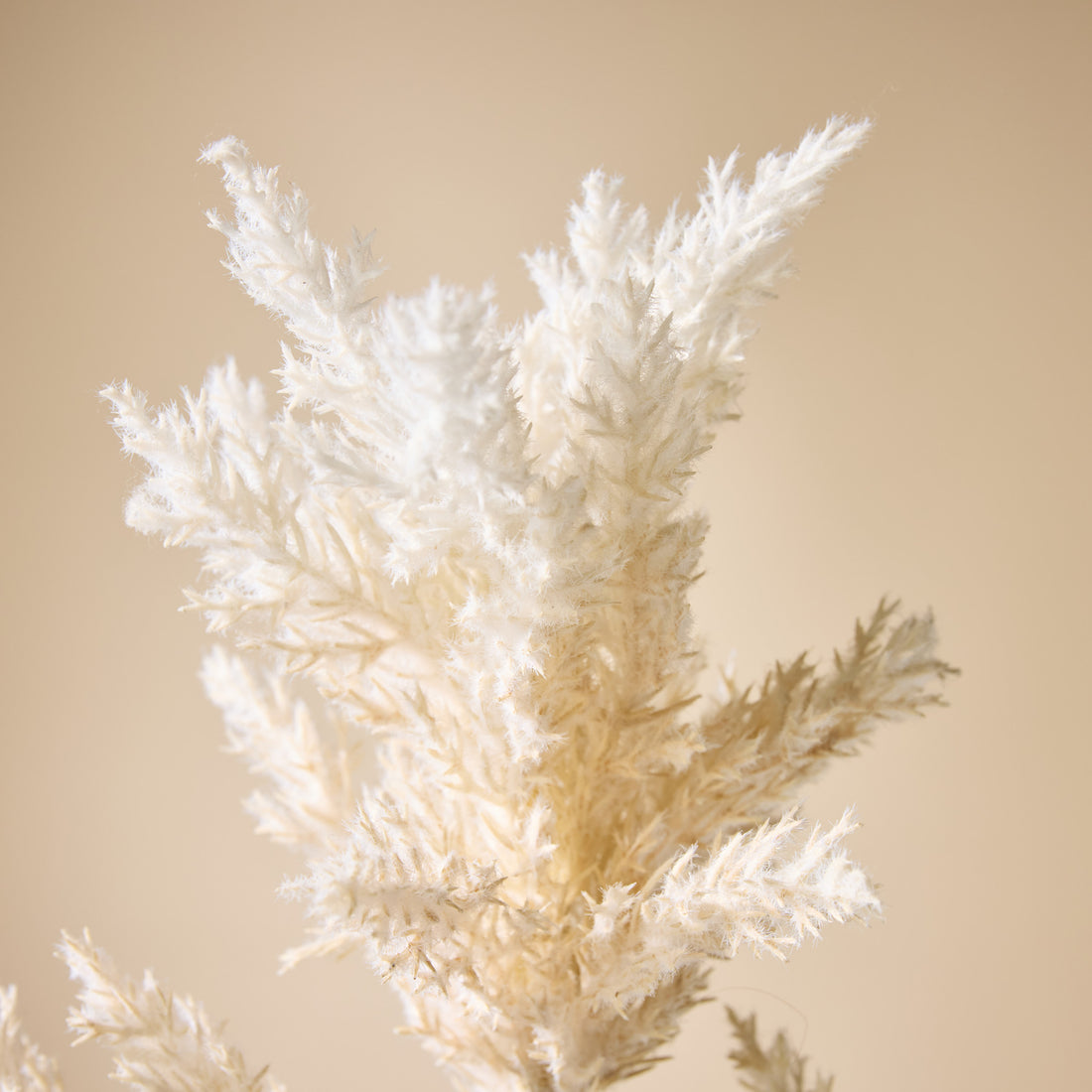 Faux Astilbe Stem | 82cm