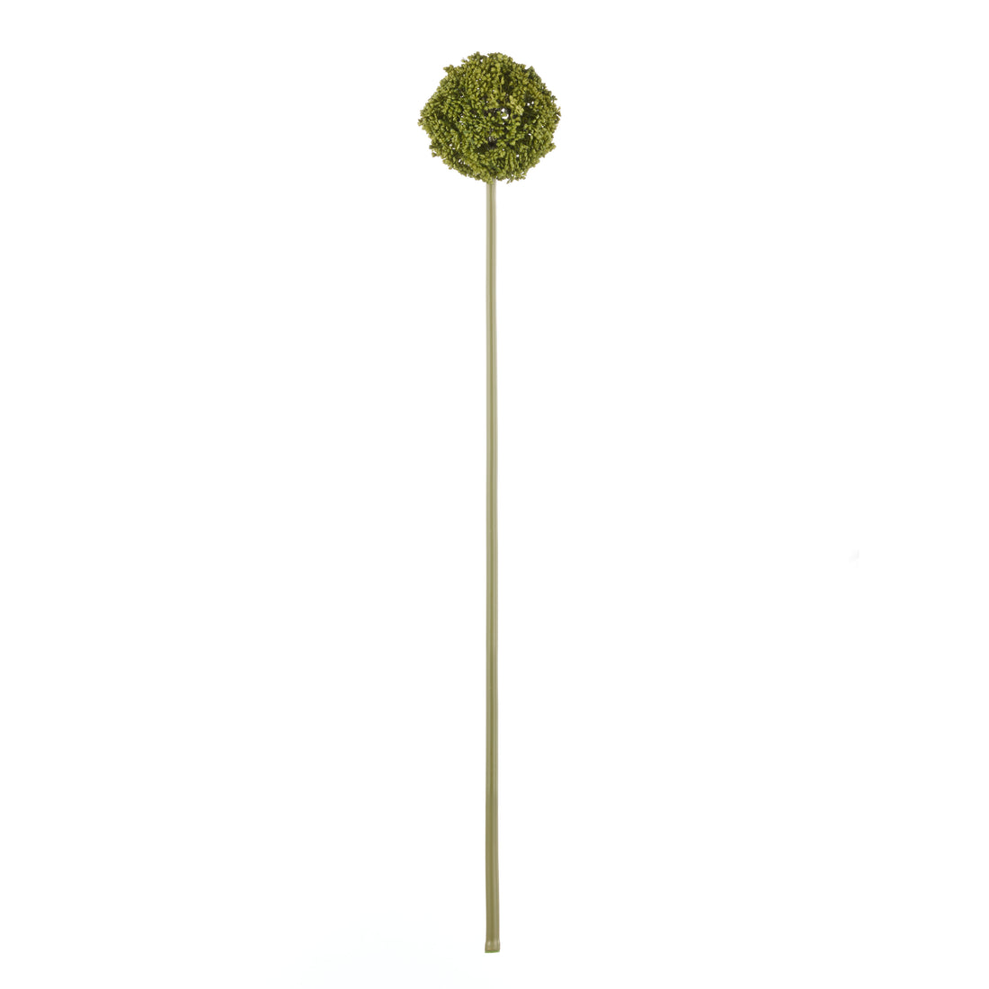 Faux Allium Stem | Green -  76cm