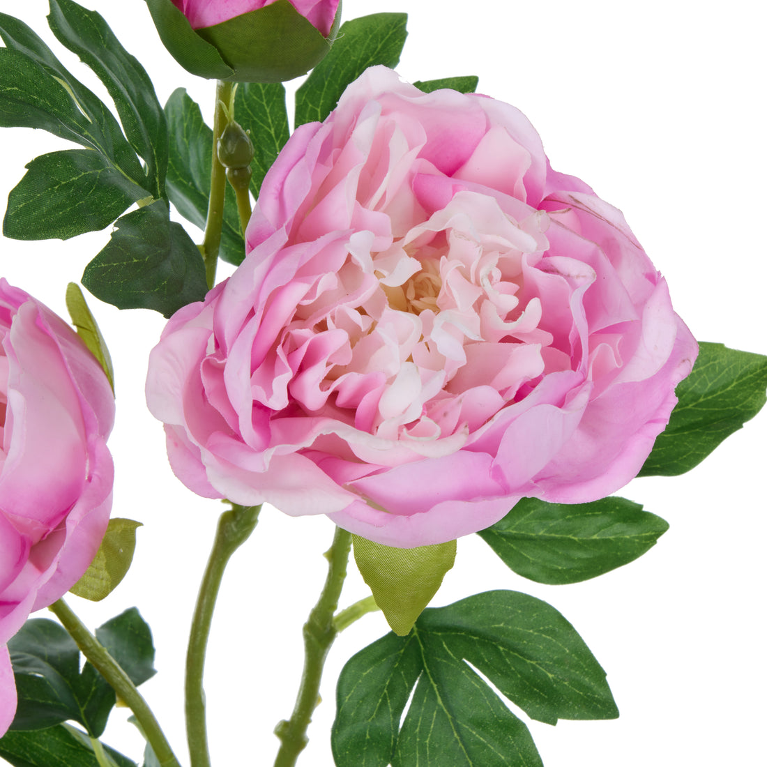 Rogue Peony Spray Real Touch Pink