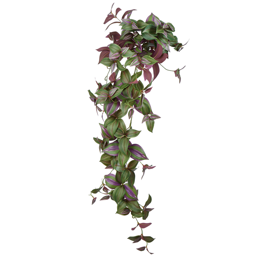 Rogue Wandering Dude Hanging Bush Green &amp; Purple