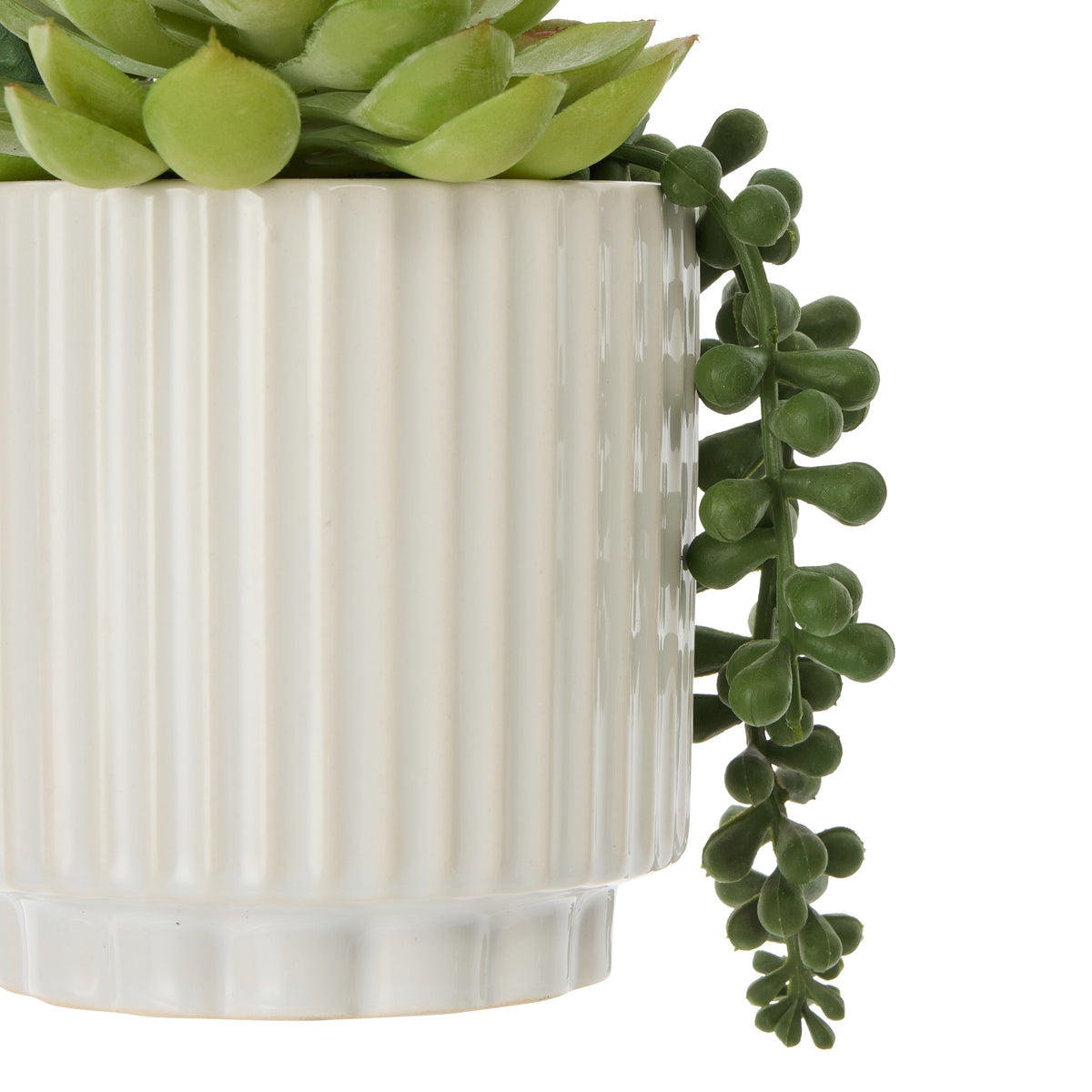 Rogue Aloe Succulent Mix Pot Green &amp;  White